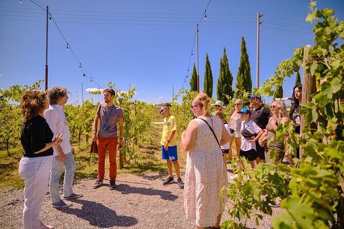 Exclusive Siena and San Gimignano Tour & Chianti Wine Experience - One long day: how Siena, towers, and Chianti connect