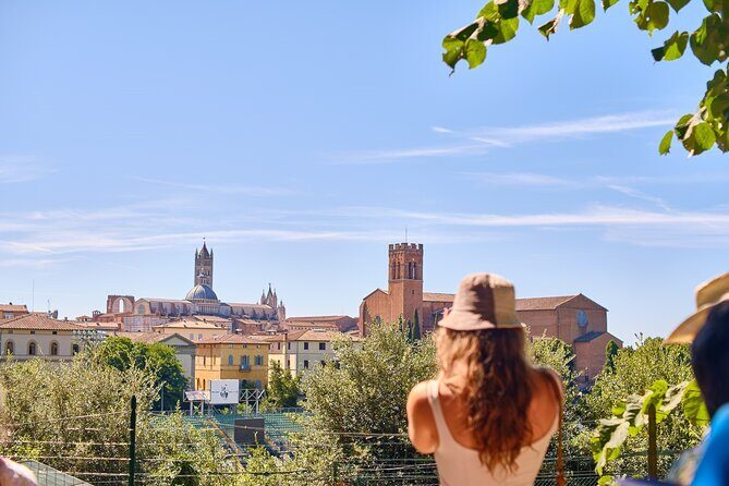Exclusive Siena and San Gimignano Tour & Chianti Wine Experience - Siena Cathedral area: Gothic grandeur from the outside (and why that matters)