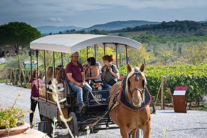Exclusive Suvereto tour from Florence: Land of Elisa Bonaparte - Key highlights to know before you go