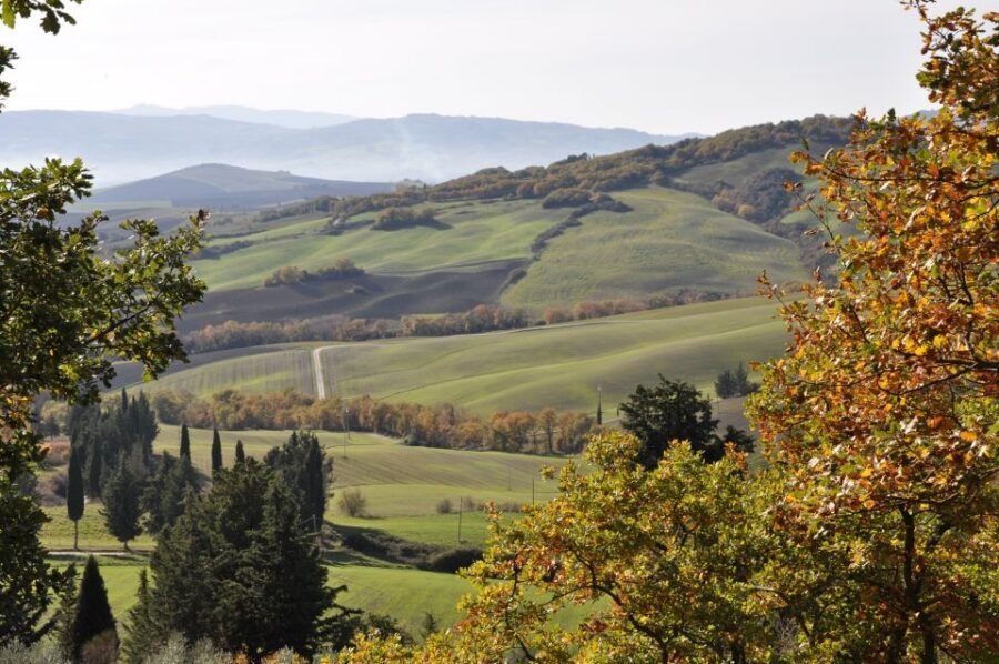 Exclusive Val d’Orcia Full-Day Wine Tour from Florence - Why Val d’Orcia Feels Worth Escaping Florence