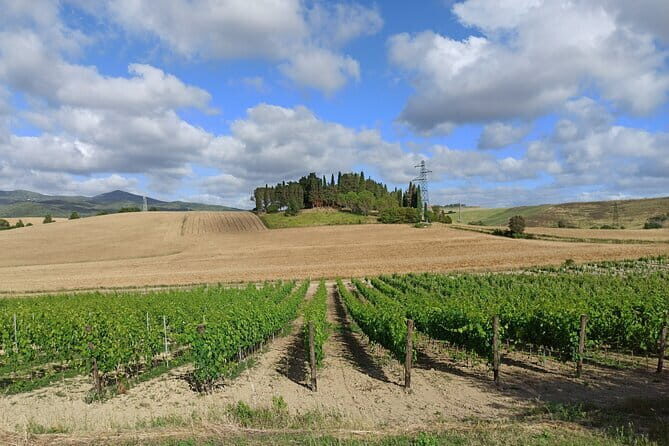 EXCLUSIVE Wine Tour in Chianti & San Gimignano (Lunch & Wine Tasting included) - San Gimignano in 90 minutes: towers, lanes, saffron, and Vernaccia