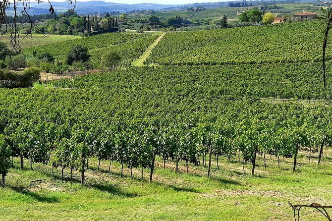 EXCLUSIVE Wine Tour in Chianti & San Gimignano (Lunch & Wine Tasting included) - Price and value: is $301.03 per person a fair deal?
