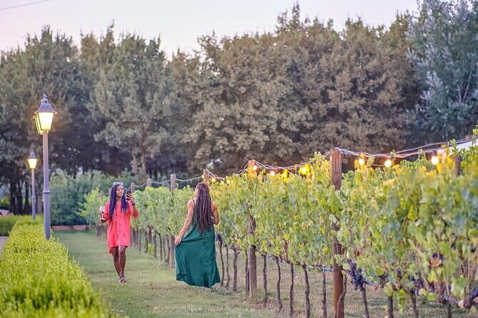 Exclusive Winery Tour with Tasting and Dinner in Chianti vineyard - Key things that make this Chianti tour worth your time