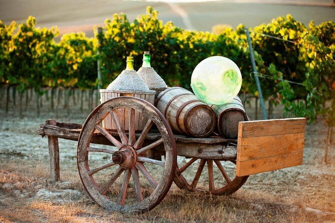 Exclusive Winery Tour with Tasting and Dinner in Chianti vineyard - Sunset dinner among the vines: VIP Chianti pairing with Tuscan courses