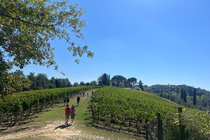 Farm To table Experience on an organic hilltop estate in Tuscany - From Firenze Santa Maria Novella to San Miniato, done the easy way