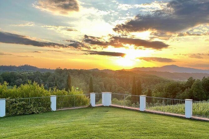 Farm To table Experience on an organic hilltop estate in Tuscany - The lunch you came for: three courses, olive oil tastings, and real Tuscan drinks
