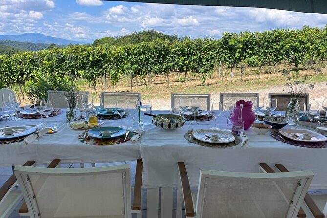 Farm To table Experience on an organic hilltop estate in Tuscany - Price and what you’re really paying for (including the €12.40 train cost)