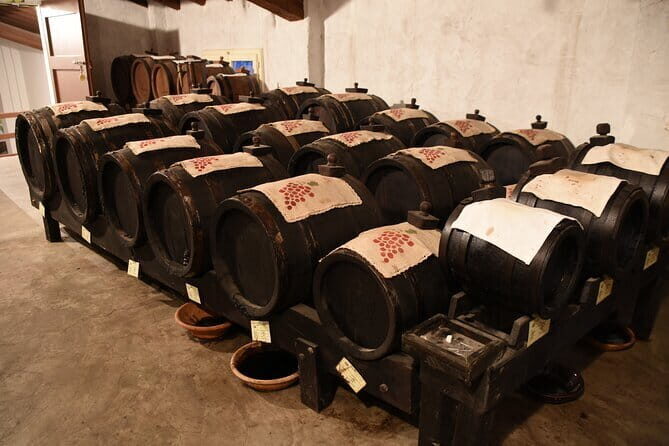 Ferrari Parmesan Cheese Balsamic Vinegar wine & food PRIVATE TOUR from FLORENCE - Weather, pacing, and what to wear