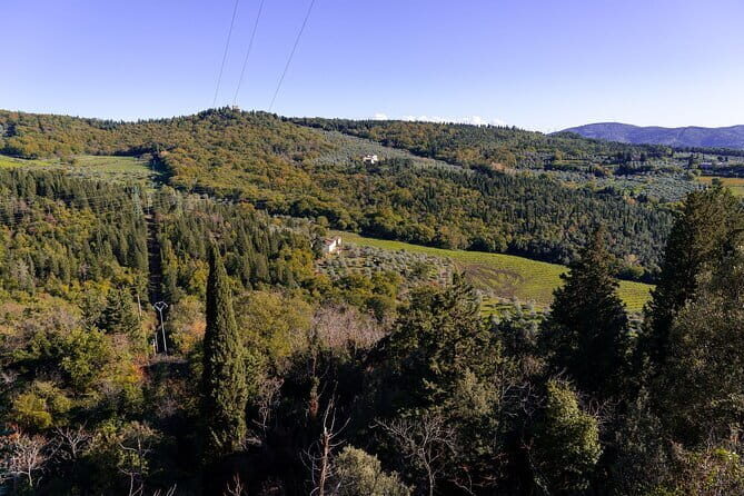 Fiesole Hike & Italian Aperitivo - Group size, guide style, and how this fits different travelers