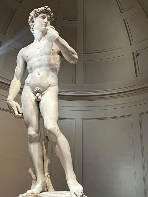Florence: Accademia Gallery Guided Tour and Priority Entry - Key Points You’ll Care About