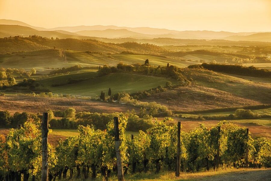Florence/Badesse: Tuscany Group Vespa Tour with Wine Tasting - Weather, Rain Plans, and When the Day Might Shift