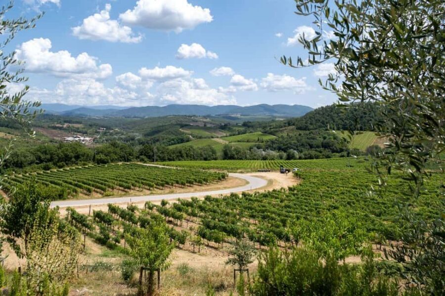 Florence: Chianti E-Bike Tour with Wine Tasting and Lunch - E-Bike Reality Check: What’s Easy, What’s Still Work