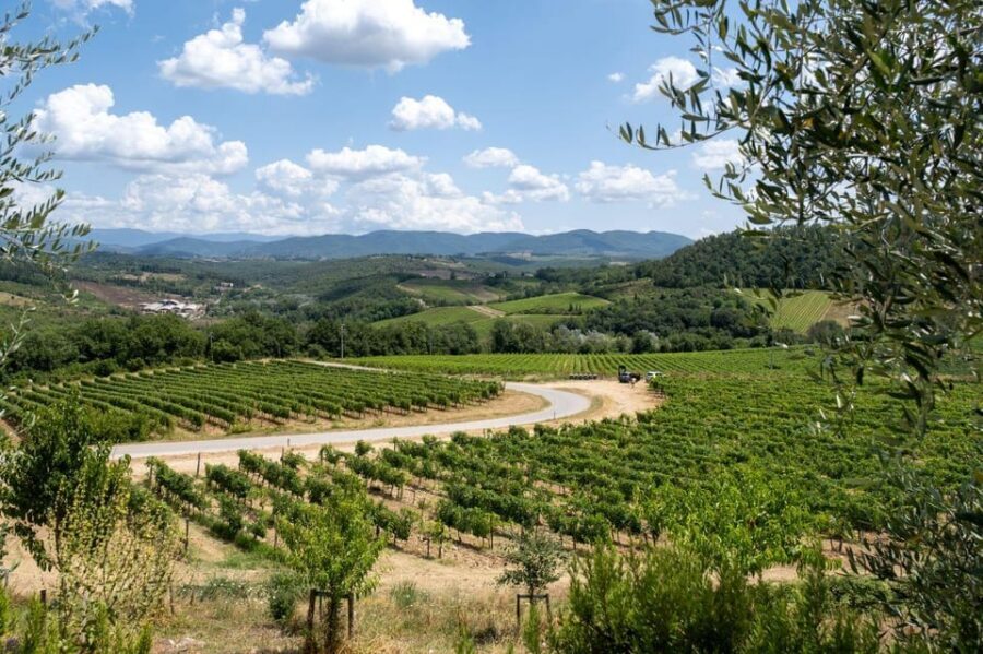 Florence: Chianti E-Bike Tour with Wine Tasting and Lunch - Price and Value: Lunch + Wine Makes the Math Work