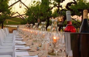 Florence: Chianti Vineyards Tour with Wine Tasting & Dinner - The Winery Tour and Tastings: What You’re Really Getting
