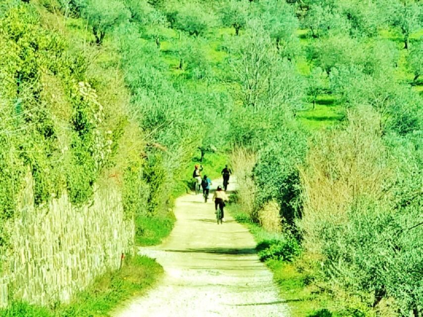 Florence: Country Ebike tour + Wine tasting in organic farm - Little details that matter on this kind of day