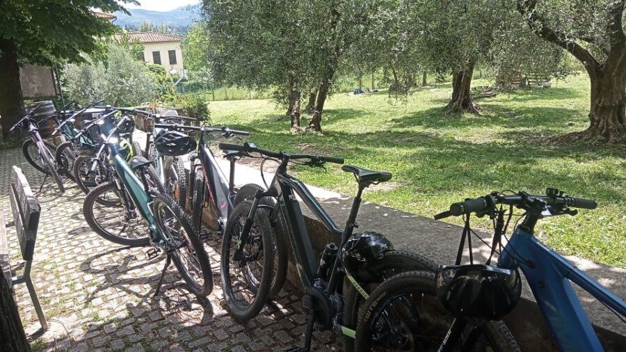 Florence: Country Ebike tour + Wine tasting in organic farm - Should you book it?