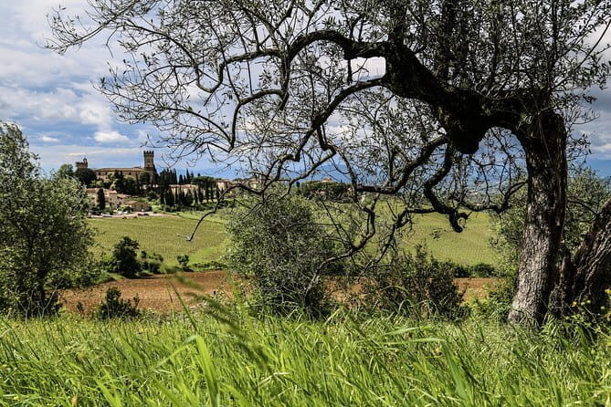 Florence: Day Trip with Free Time in San Gimignano and Siena - Transport Comfort and Group Size: Nice, Not a Private Driver