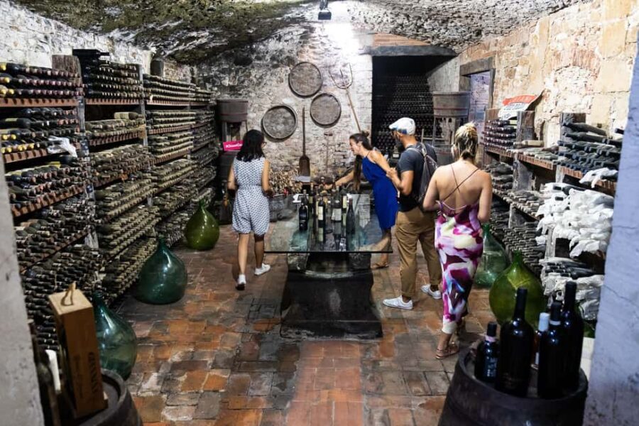 Florence: Exclusive Chianti Wine Tour at 3 Wineries & Lunch - Winery Stop 3: Family-Run Estate and a Wider Wine Comparison