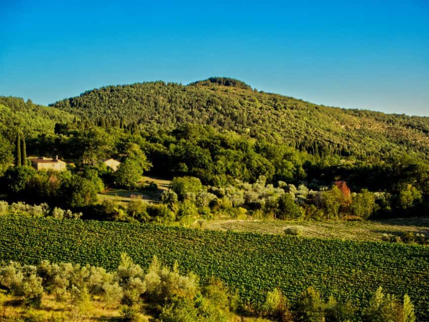 Florence: Fiesole E-Bike Tour with Olive Oil Tasting - Cruising Back to Florence: How the Route Feels