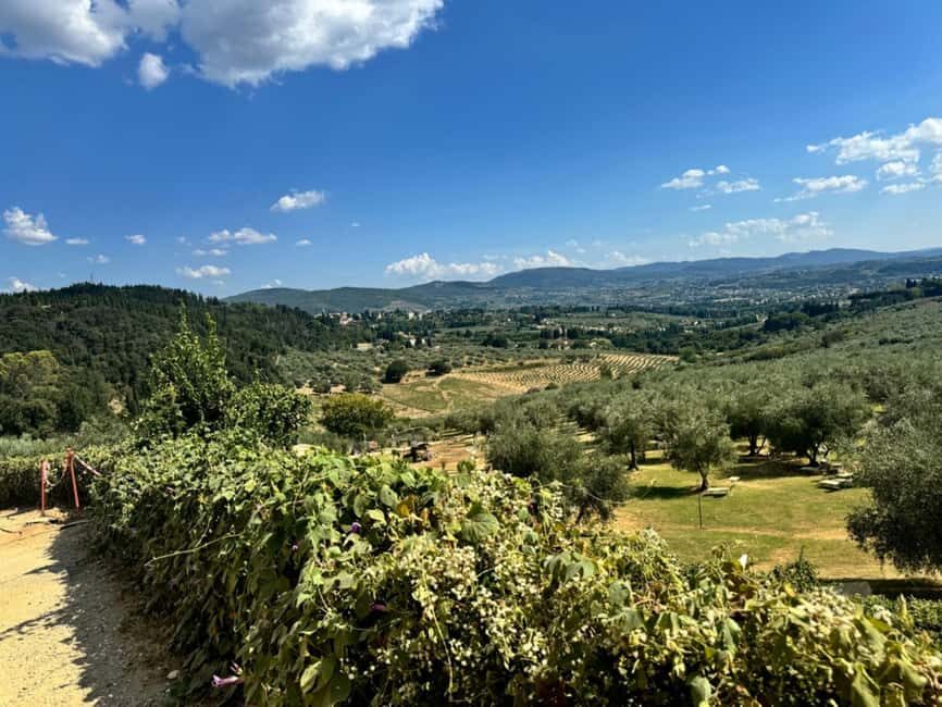 Florence: Fiesole E-Bike Tour with Olive Oil Tasting - Practical Tips for a Smooth 5-Hour Ride