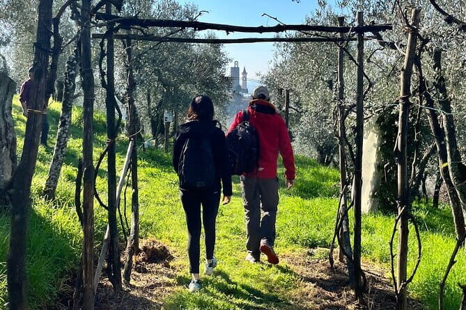 Florence Foodie Tour – Tasting Tuscany’s Local Flavors - Wine, Gelato, and Vinsanto: The Sweet-Savory Rhythm