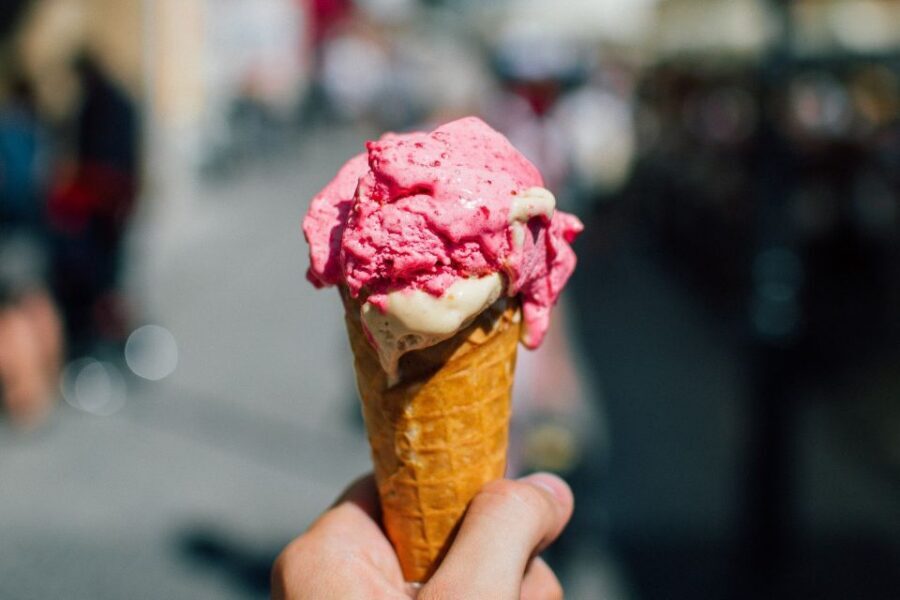 Florence: Guided Flavors of Tuscany Tour - Key highlights you’ll feel right away