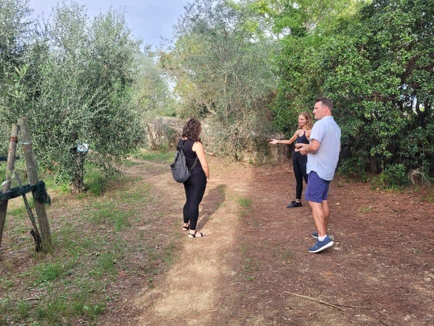Florence: Half-Day Tuscan Countryside E-bike Tour with Wine - Should you book this Florence e-bike tour with wine?