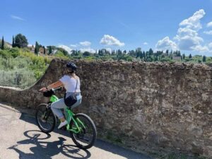 Florence: Half-Day Tuscan Countryside E-bike Tour with Wine - The four-hour ride: narrow roads, villas, olive groves, and real views