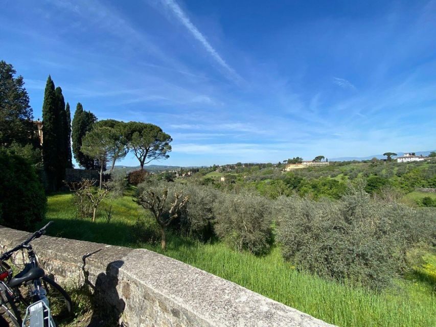 Florence: Half-Day Tuscan Countryside E-bike Tour with Wine - The olive oil farm venue: learning how handpicked oil really starts
