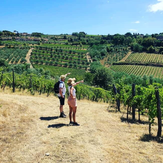 Florence: Hiking Tuscany & Chianti wine 3 wineries and lunch - Key Points Worth Noticing