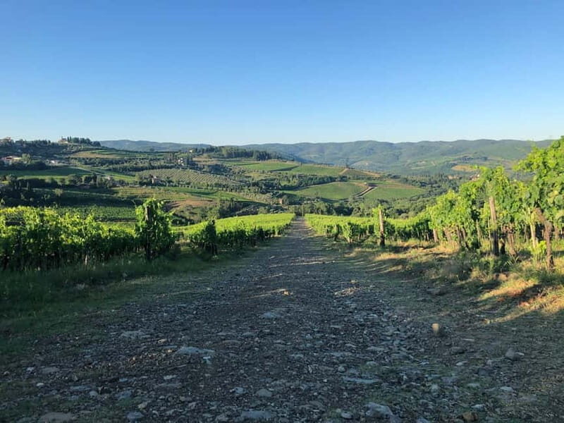 Florence: Hiking Tuscany & Chianti wine 3 wineries and lunch - What to bring and how to prepare for a hike day in Chianti