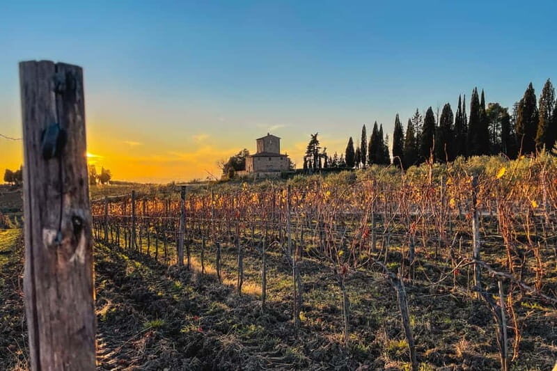 Florence: Hiking Tuscany & Chianti wine 3 wineries and lunch - Florence to Chianti: the day starts with a real plan