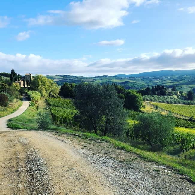 Florence: Hiking Tuscany & Chianti wine 3 wineries and lunch - Stop 1 in Panzano: a 12th-century family wine cellar