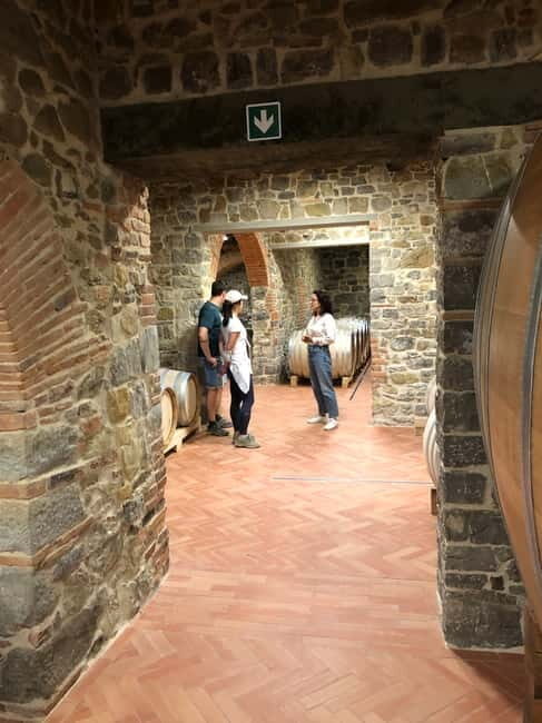 Florence: Hiking Tuscany & Chianti wine 3 wineries and lunch - Olive groves, a second tasting, and lunch in Chianti rhythm