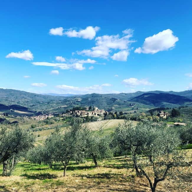 Florence: Hiking Tuscany & Chianti wine 3 wineries and lunch - Stop 3: modern techniques with old-hill views toward Montefioralle