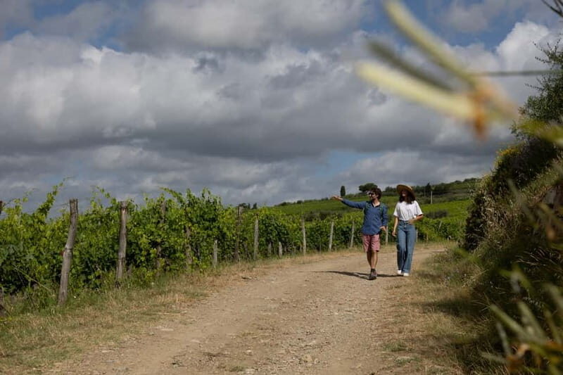 Florence: Hiking Tuscany & Chianti wine 3 wineries and lunch - Your guide matters: when the day changes, the tour doesn’t break
