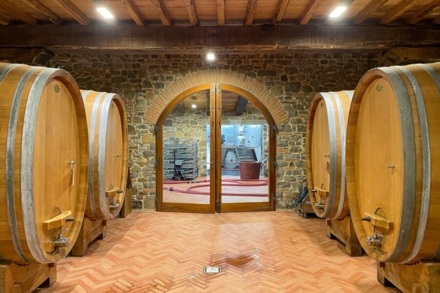 Florence: Hiking Tuscany & Chianti wine 3 wineries and lunch - Price check: what $239 buys you (and why it can be good value)