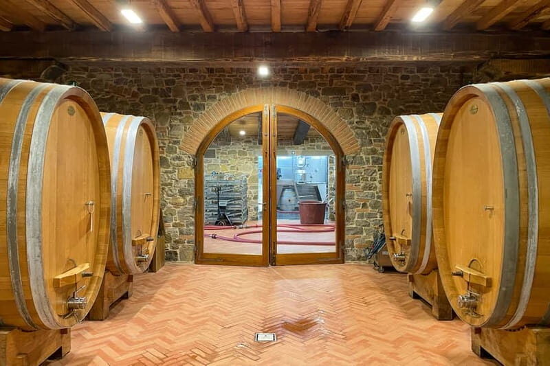 Florence: Hiking Tuscany & Chianti wine 3 wineries and lunch - Walking the Conca d’oro: easy paths, real hills