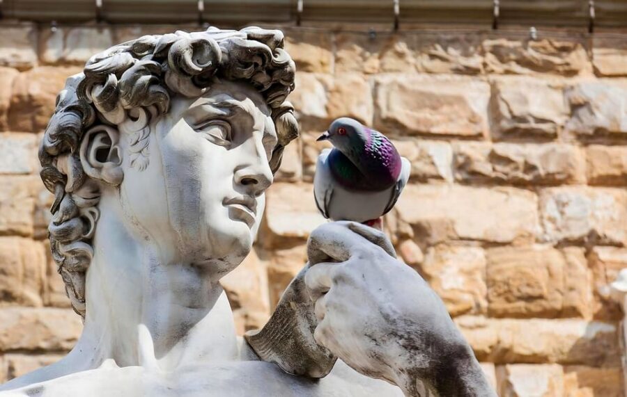Florence: Piazza della Signoria & David - Anti Walking Tour - Key Points You’ll Actually Feel on This Tour