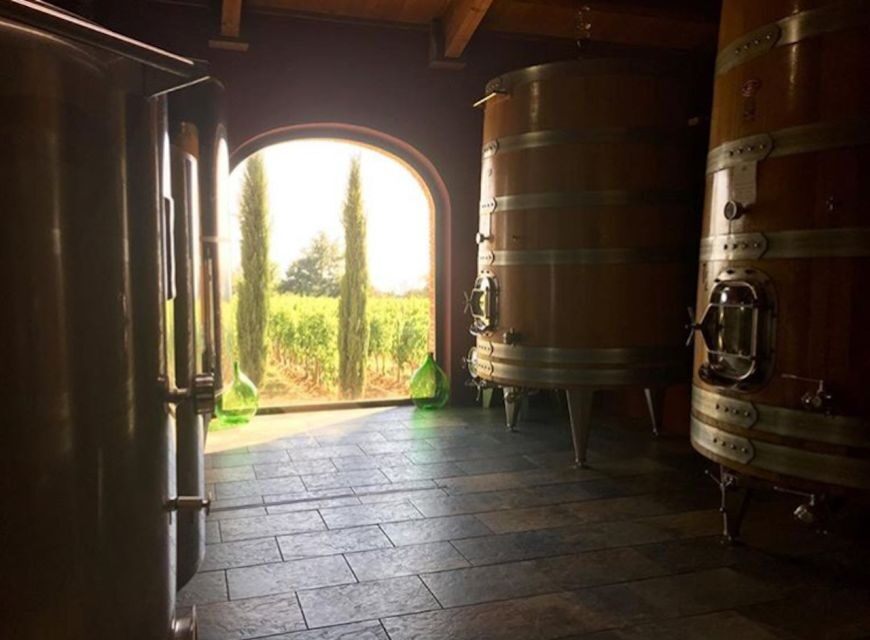 Florence: Private Full-Day Brunello Wine Tour to Montalcino - Enoteca La Fortezza: A Fortress Stop That’s More Than a Shop