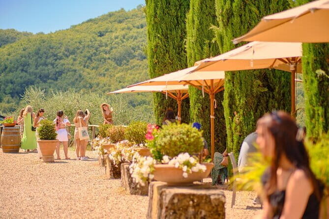 Florence: Private Half-Day Chianti Tour and Wine Tasting Optional - Private Mercedes Pickup From Florence: Why This Tour Feels Easy