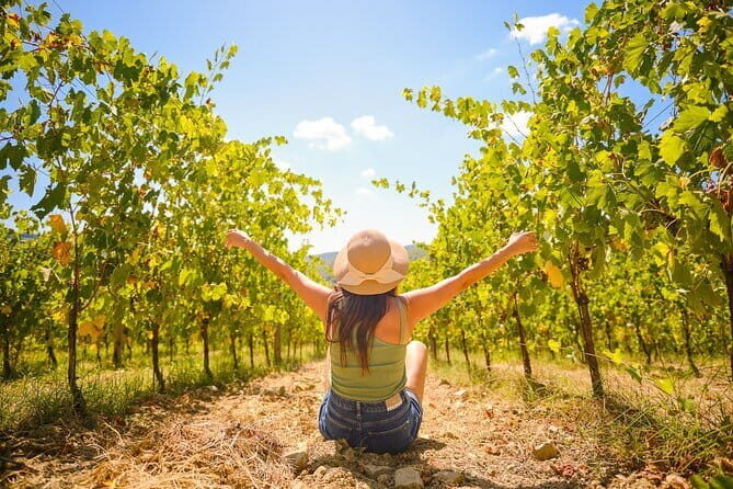 Florence: Private Half-Day Chianti Tour and Wine Tasting Optional - Who This Tour Fits Best (and Who Should Look Elsewhere)