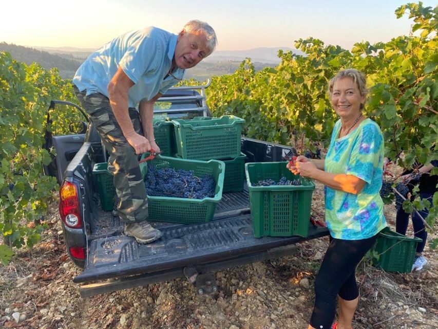 Florence: Private Siena, San Gimignano and Chianti Tour - Chianti Wine Road Views and the Vineyards Pause