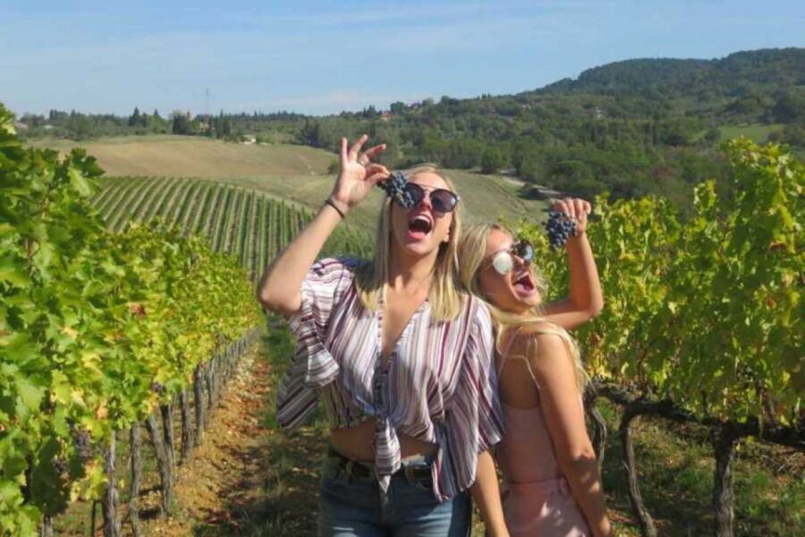 Florence: Private Siena, San Gimignano and Chianti Tour - San Gimignano: Towers, Historic Center, and That Perfect Street-Level Feeling