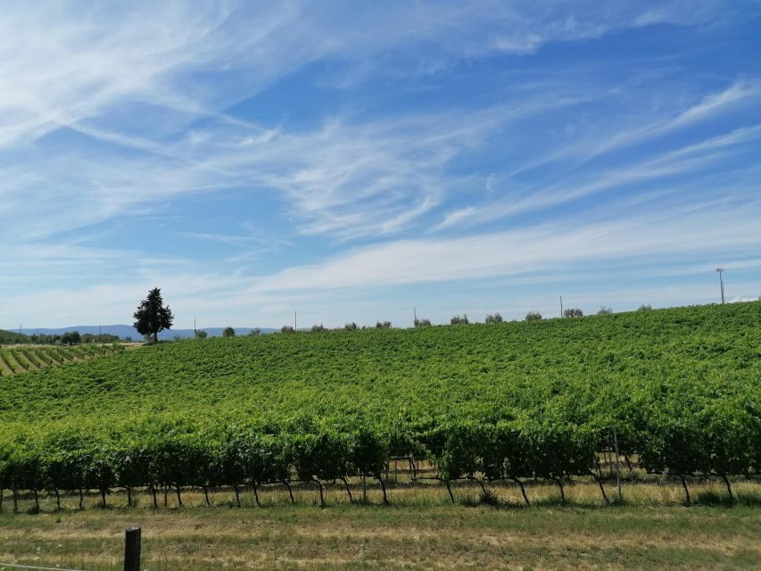 Florence: Private Vintage Fiat500 Countryside & Winery Lunch - Should you book the Private Vintage Fiat 500 Countryside & Winery Lunch?