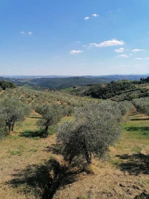 Florence: Private Vintage Fiat500 Countryside & Winery Lunch - Price and value: what you’re paying for
