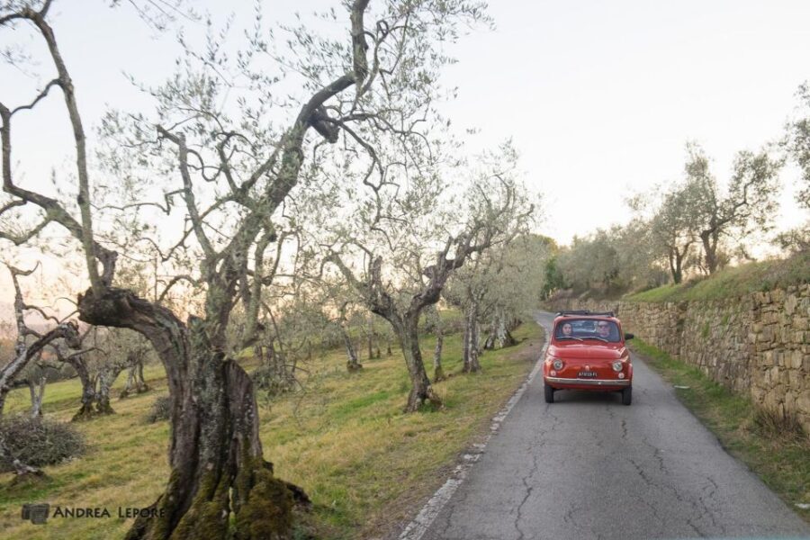 Florence: Private Vintage Fiat500 Countryside & Winery Lunch - Who this tour suits best (and who should skip it)