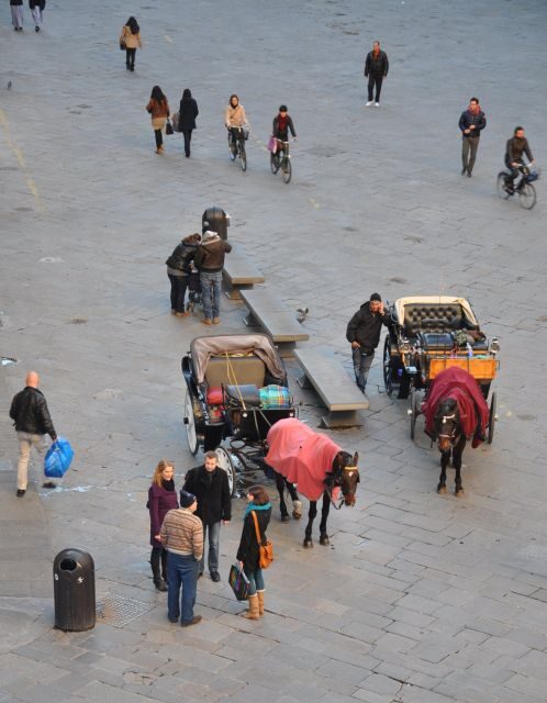 Florence: Private Walking Tour with a Local Guide - Piazza Pitti and the Medici Thread: Following Power Up Close