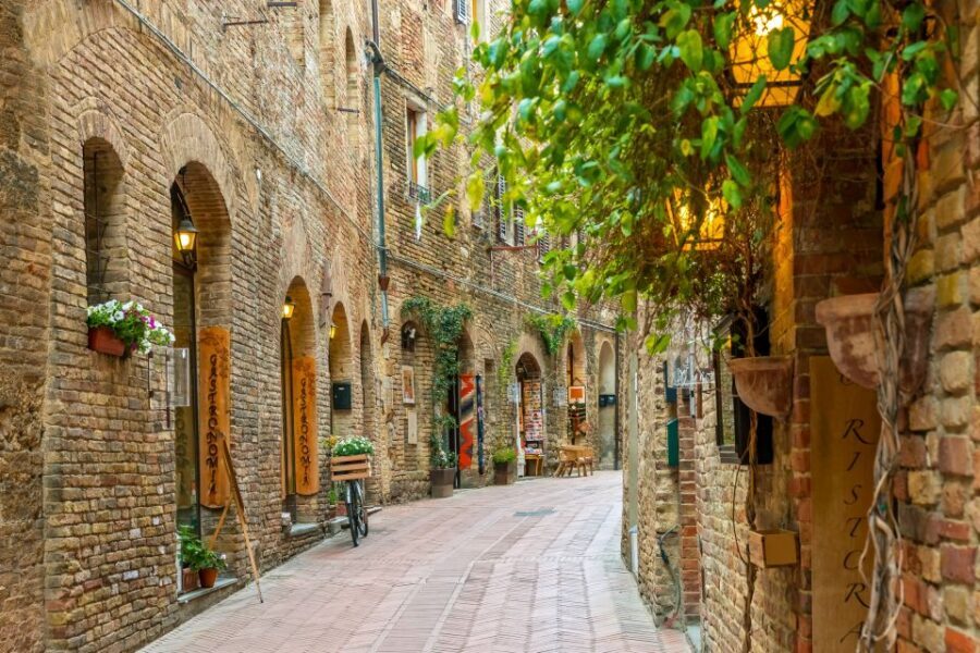 Florence: Siena San Gimignano Private Day Tour by Deluxe Car - Your guide and driver: the real quality difference