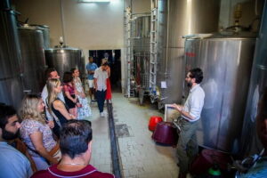 Florence: Siena & San Gimignano with Dinner in a Boutique Winery - Siena walking tour: contrade, Piazza del Campo, and the right pace
